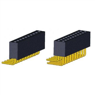 Obrábaná samica hlavička